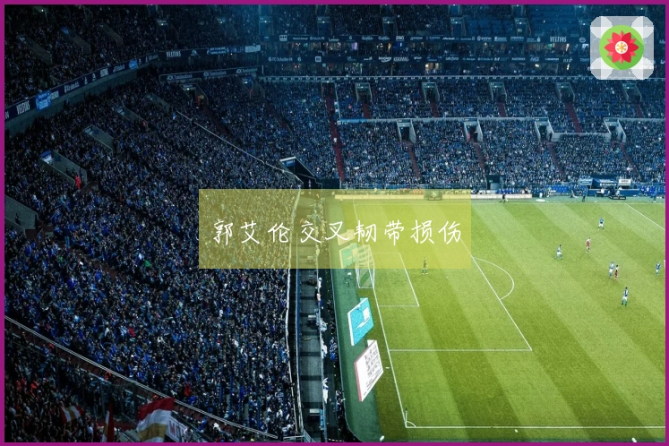 郭艾伦交叉韧带损伤