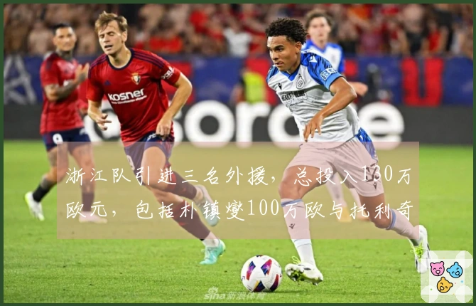 浙江队引进三名外援，总投入130万欧元，包括朴镇燮100万欧与托利奇自由转会