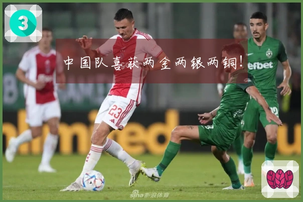 中国队喜获两金两银两铜！