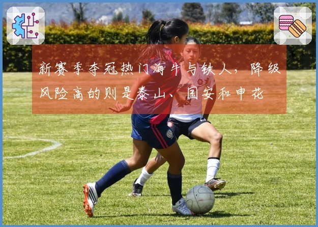 新赛季夺冠热门海牛与铁人，降级风险高的则是泰山、国安和申花